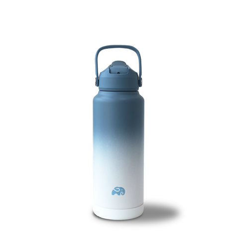EKO FLASK 1 L SKY SERIES