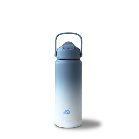 EKO FLASK 750 mL SKY SERIES